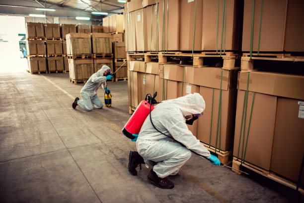 Best Pest Prevention Services  in High Ridge, MO
