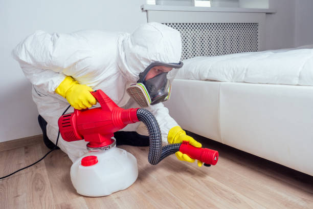 Best Best Pest Control Companies  in High Ridge, MO