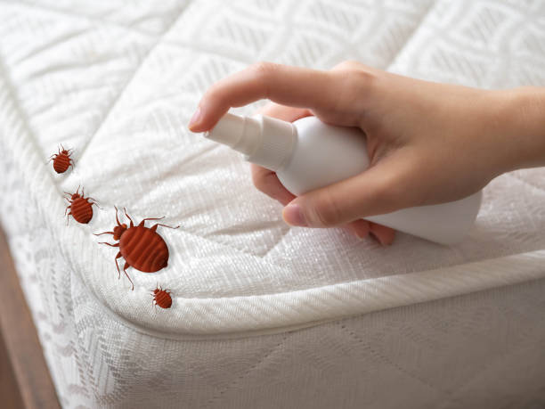 Best Best Pest Control Companies  in High Ridge, MO