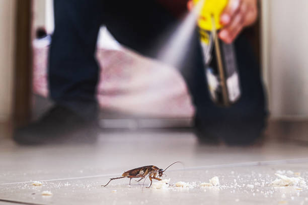 Best Wildlife Control Services  in High Ridge, MO