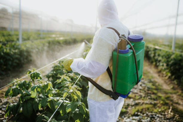 Best Local Pest Control Services  in High Ridge, MO